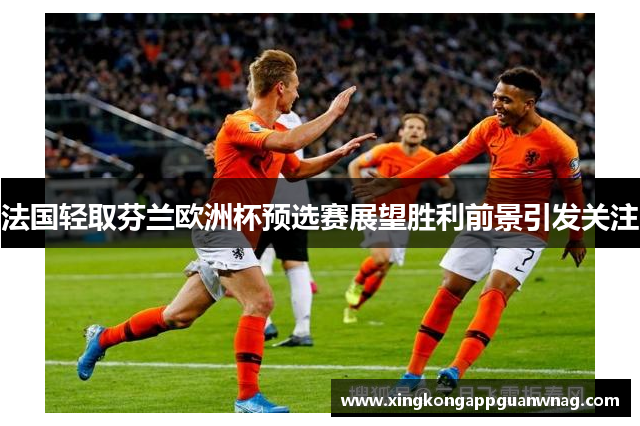 法国轻取芬兰欧洲杯预选赛展望胜利前景引发关注