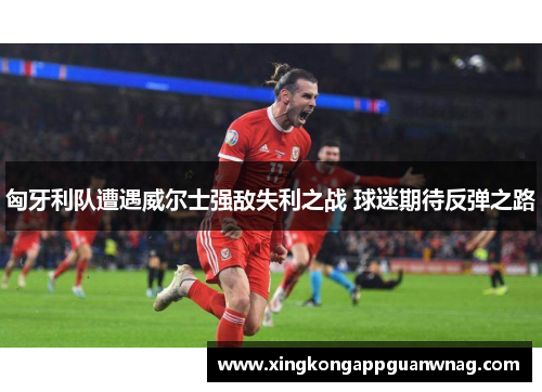 匈牙利队遭遇威尔士强敌失利之战 球迷期待反弹之路