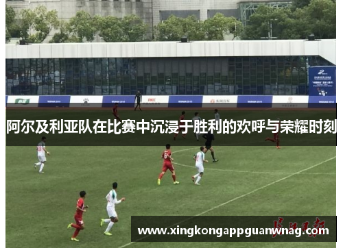 阿尔及利亚队在比赛中沉浸于胜利的欢呼与荣耀时刻