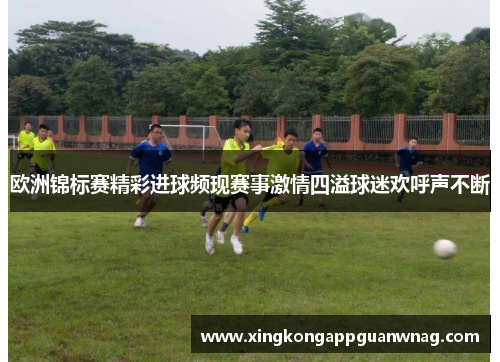 欧洲锦标赛精彩进球频现赛事激情四溢球迷欢呼声不断