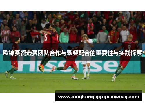 欧锦赛资选赛团队合作与默契配合的重要性与实践探索