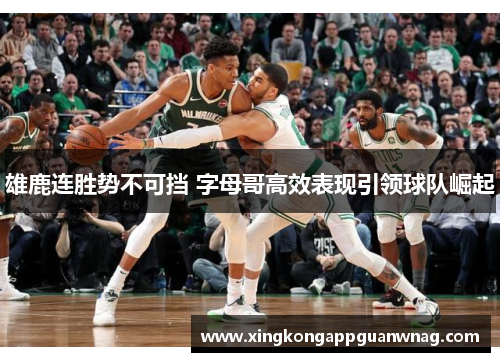 雄鹿连胜势不可挡 字母哥高效表现引领球队崛起