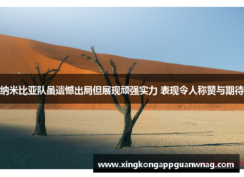 纳米比亚队虽遗憾出局但展现顽强实力 表现令人称赞与期待