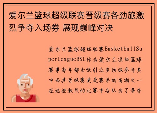 爱尔兰篮球超级联赛晋级赛各劲旅激烈争夺入场券 展现巅峰对决