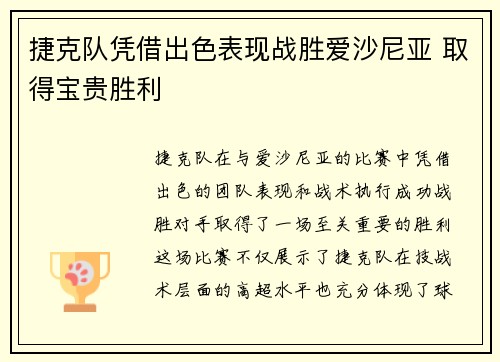 捷克队凭借出色表现战胜爱沙尼亚 取得宝贵胜利
